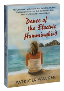 Dance of the Electric Hummingbird