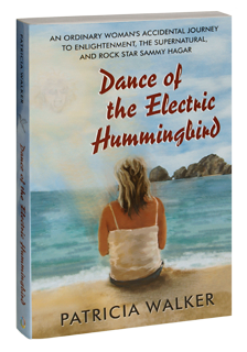 Dance of the Electric Hummingbird